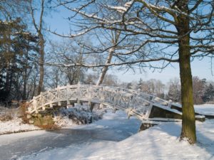 Wörlitz im Winter