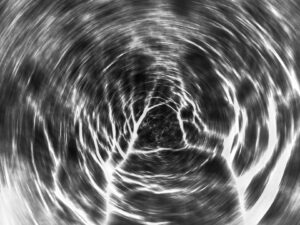 Sabine Beer: Astwerk