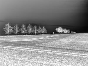 Sabine Beer: Horizont