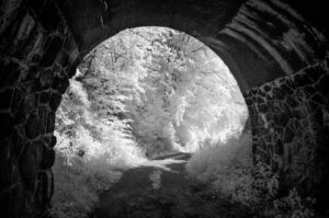 Erhard Schiller: Unter der Wipperliese