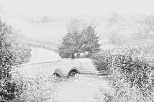 Helga Mayer: Schafsbrücke Ammendorf