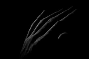 Michael Wünsche: Handscapes