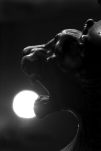 Klaus-Peter Röder: Löwenkopf in der Universität