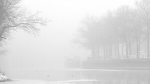 Klaus-Peter Röder: Saaleufer im Nebel